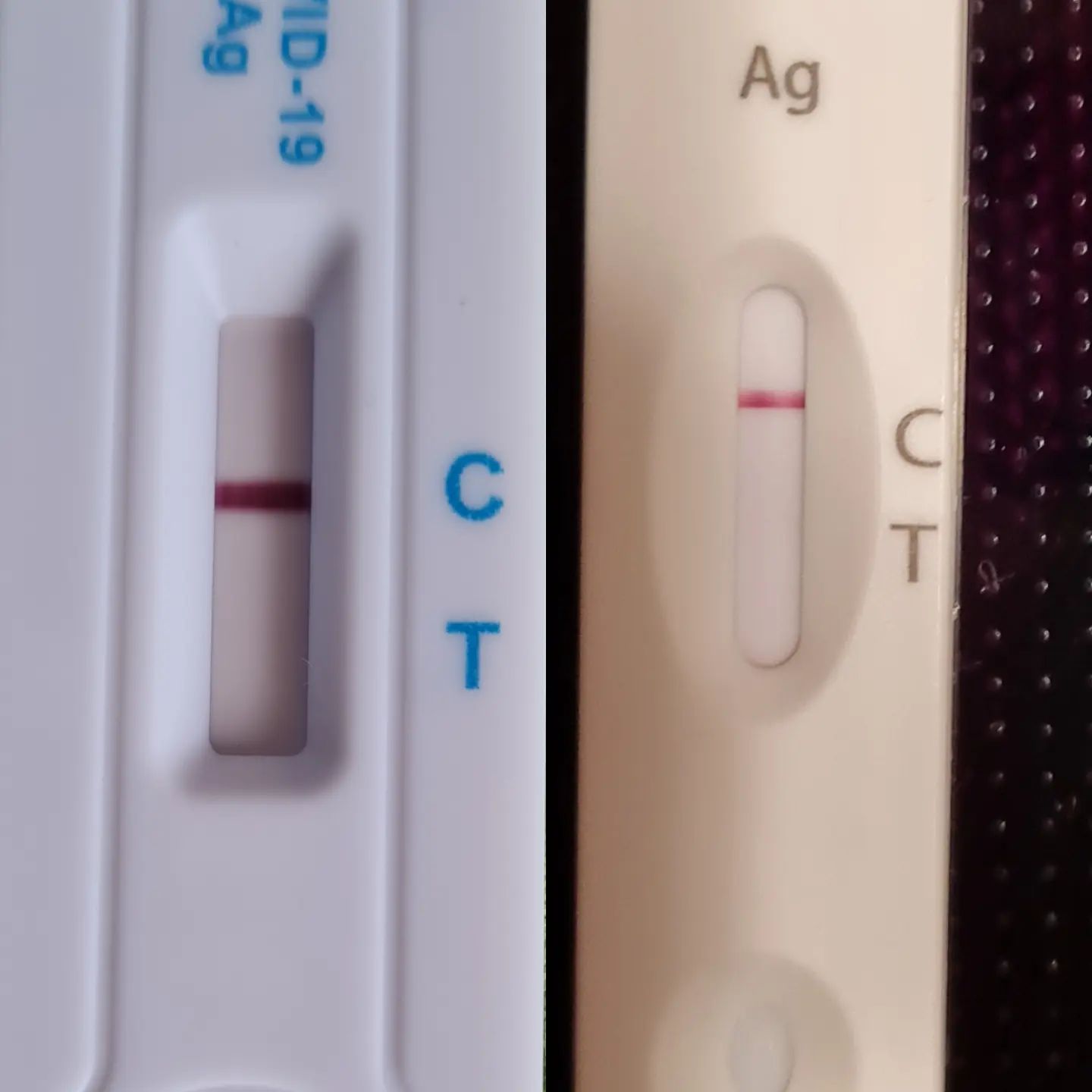 Negativ ist das neue Positiv. 😉 💪
Bin den 3. Tag negativ und bleibe es hoffentlich auch!
Heute fühlt es sich das 1. Mal so an, als ob mein Immunsystem - frisch gestärkt durch die 5. Impfung im November - mit der Bewältigung der Covid-Infektion klar kommt, ohne sich irritieren zu lassen. Hoffentlich bleibt es dabei.
Nach dem Paxlovid ist es mir erst mal wieder schlechter gegangen, Symptome zeigten sich wieder deutlicher und ich war viel kraftloser.
Wieder nach Draußen gehen zu können gibt mir Energie. Auch sonst pflege ich mein Immunsystem und rede ihm gut zu.
😷💪
#covid #covid_19 #immunsystem #coronaschutzimpfung #coronaimpfung #paxlovid™ #paxlovidrebound #autosuggestion
🎒🥾
#AktionSchrittmacher #rheuma #risikogruppe #seltensindviele #selten #vaskulitis #selteneerkrankung #weitwandern #fernwanderwege1 #e1 #wandern #fernwandern