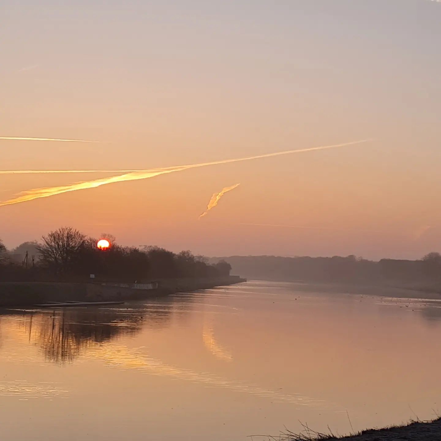 Der Sonnenaufgang am Bremer Werdersee auf meinem Weg zur Klinik für die 3. Infusion. 😊
#bremen #werdersee
#roteskreuzkrankenhausbremen #rtx #rituximab #rezidiv #remission
🎒🥾
#AktionSchrittmacher #rheuma #risikogruppe #seltensindviele #selten #vaskulitis #selteneerkrankung #weitwandern #fernwanderwege1 #e1 #wandern #fernwandern