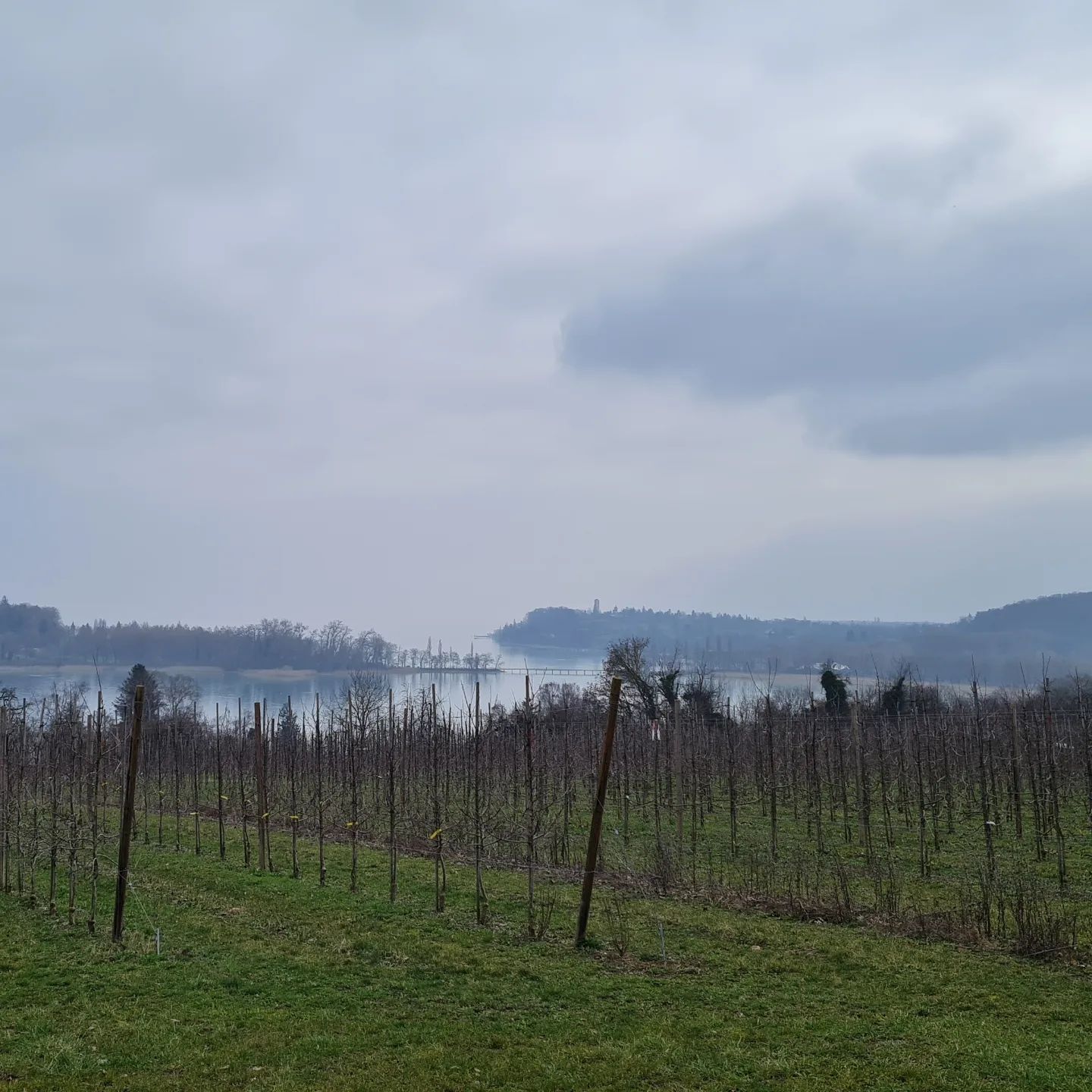 Der Weg zum Ziel: Ankunft am Rathaus in Litzelstetten am 29. Februar 2024. 🎒🥾
Mit dieser wunderbaren Aussicht auf den Bodensee, die Insel Mainau und unsere Wegrichtung über die Halbinsel sind wir am Rathaus in Litzelstetten empfangen worden.
🎒🥾
#litzelstetten #bodensee #inselmainau #konstanz #badenwürtemberg #rarediseaseday #tagderseltenenerkrankungen
🎒🥾
#AktionSchrittmacher #rheuma #risikogruppe #seltensindviele #selten #vaskulitis #selteneerkrankung #weitwandern #fernwanderwege1 #e1 #wandern #fernwandern